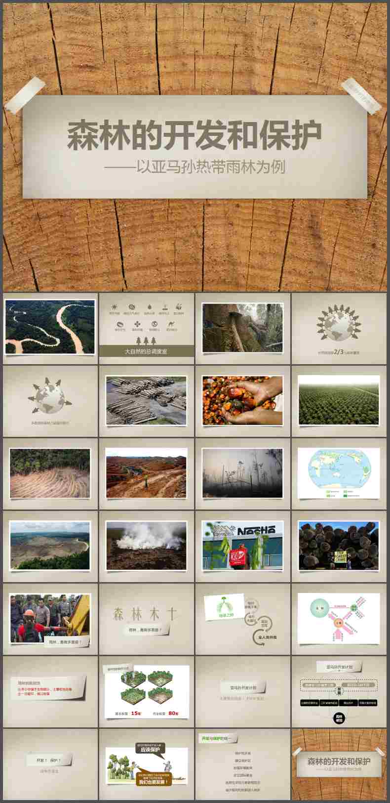 PPT模版：92.生态环境 森林开发和保护PPT模板插图